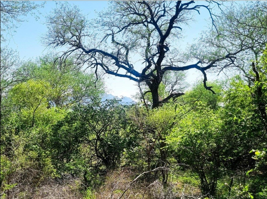 0 Bedroom Property for Sale in Moditlo Wildlife Estate Limpopo
