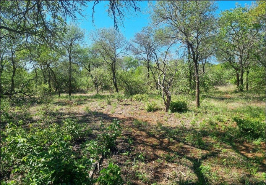 0 Bedroom Property for Sale in Moditlo Wildlife Estate Limpopo