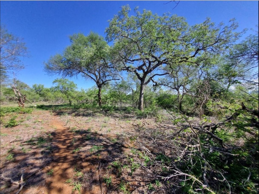 0 Bedroom Property for Sale in Moditlo Wildlife Estate Limpopo