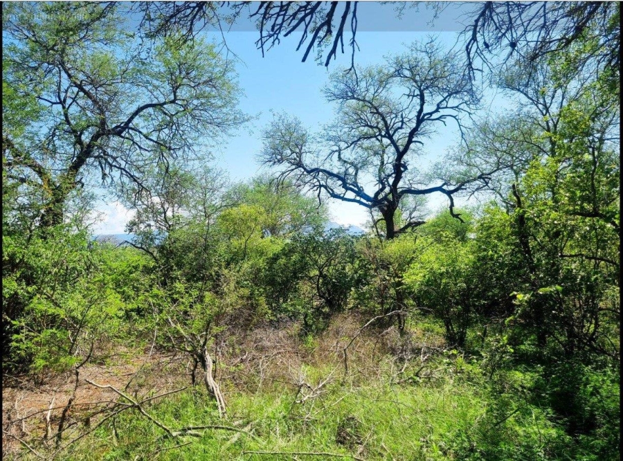 0 Bedroom Property for Sale in Moditlo Wildlife Estate Limpopo