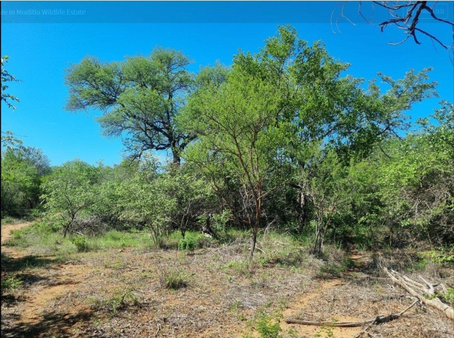 0 Bedroom Property for Sale in Moditlo Wildlife Estate Limpopo