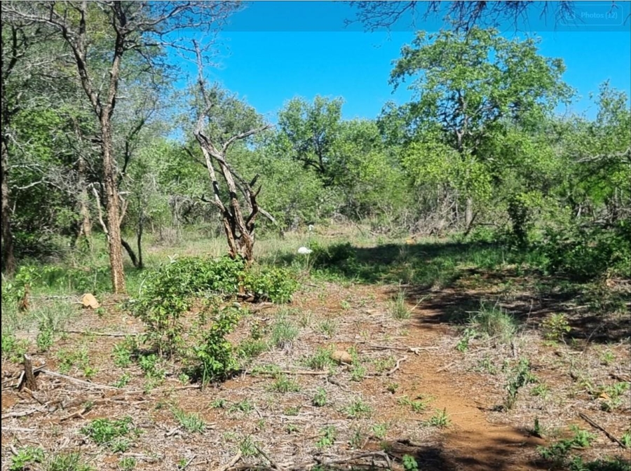 0 Bedroom Property for Sale in Moditlo Wildlife Estate Limpopo