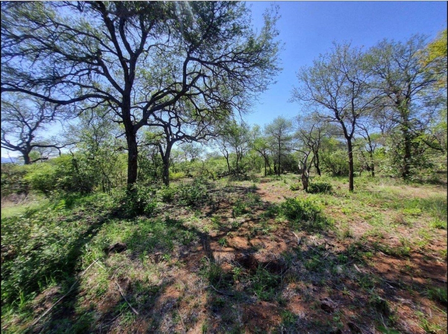 0 Bedroom Property for Sale in Moditlo Wildlife Estate Limpopo