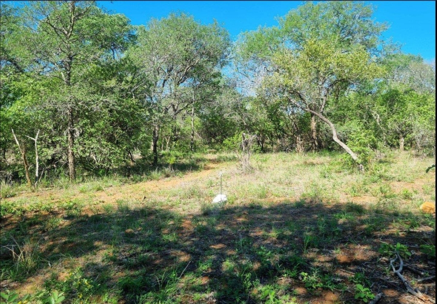 0 Bedroom Property for Sale in Moditlo Wildlife Estate Limpopo