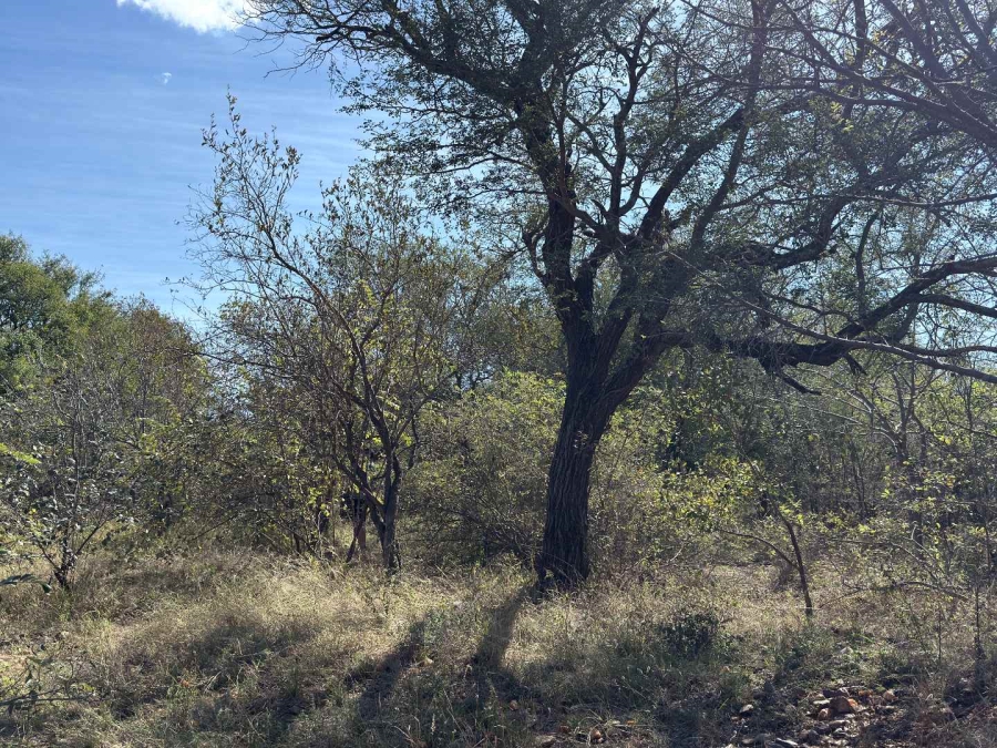 0 Bedroom Property for Sale in Elephant Rock Eco Estate Limpopo