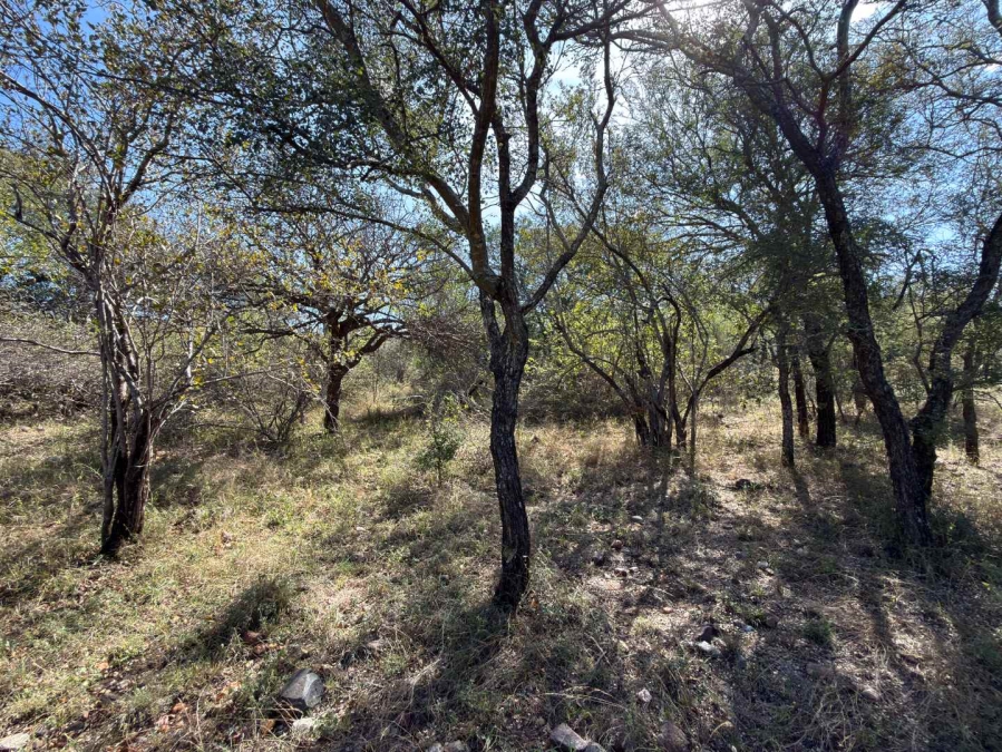 0 Bedroom Property for Sale in Elephant Rock Eco Estate Limpopo