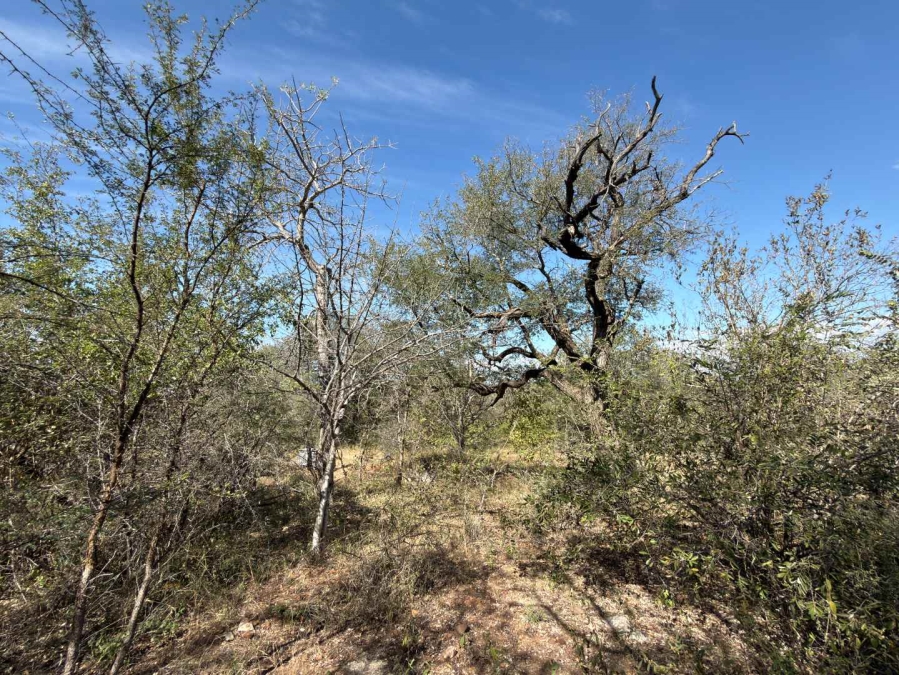 0 Bedroom Property for Sale in Elephant Rock Eco Estate Limpopo