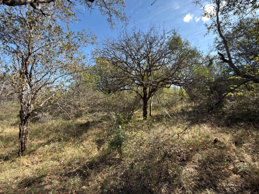 0 Bedroom Property for Sale in Elephant Rock Eco Estate Limpopo