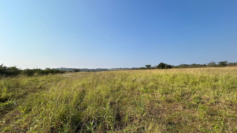 0 Bedroom Property for Sale in Tzaneen Rural Limpopo