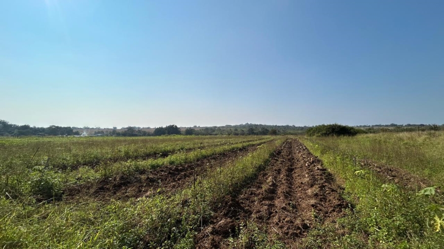 0 Bedroom Property for Sale in Tzaneen Rural Limpopo