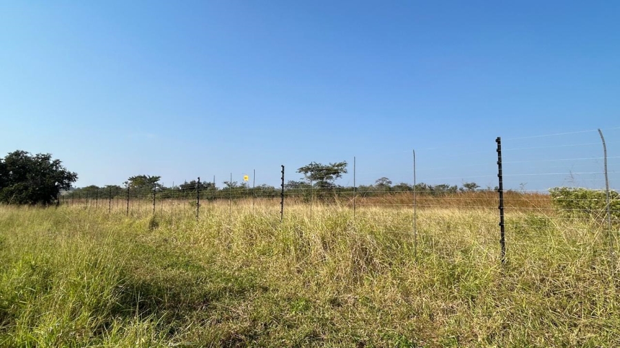 0 Bedroom Property for Sale in Tzaneen Rural Limpopo