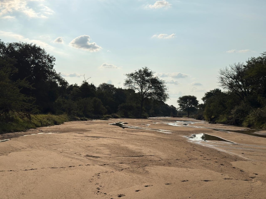 0 Bedroom Property for Sale in Moditlo Wildlife Estate Limpopo