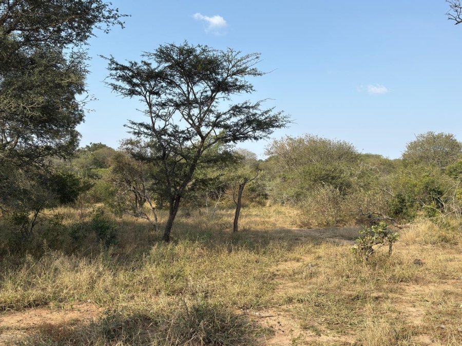 0 Bedroom Property for Sale in Moditlo Wildlife Estate Limpopo