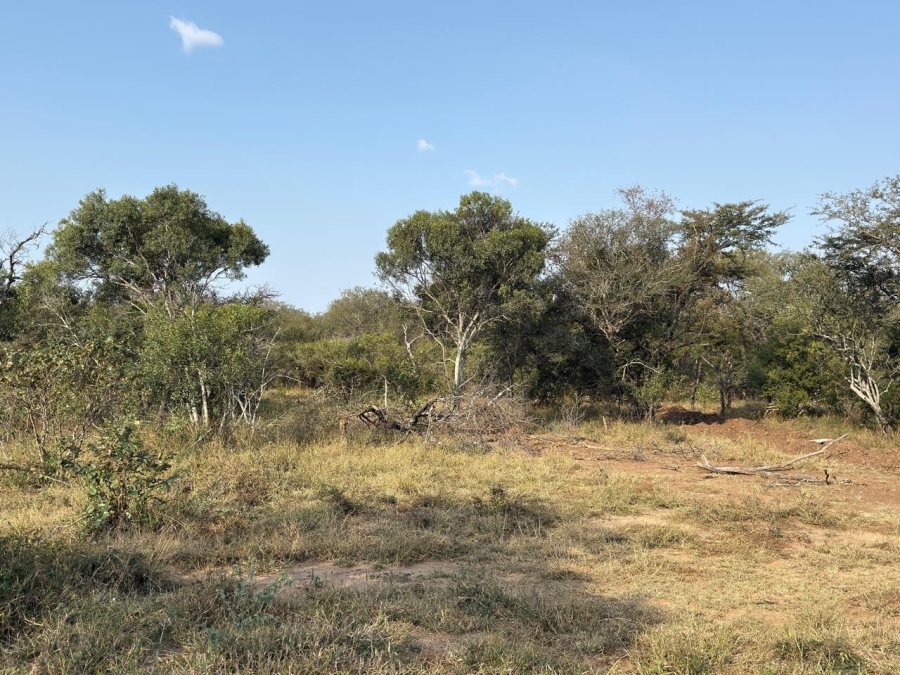 0 Bedroom Property for Sale in Moditlo Wildlife Estate Limpopo