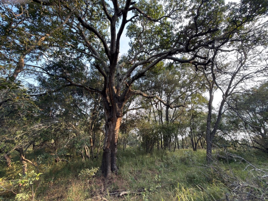 0 Bedroom Property for Sale in Moditlo Wildlife Estate Limpopo