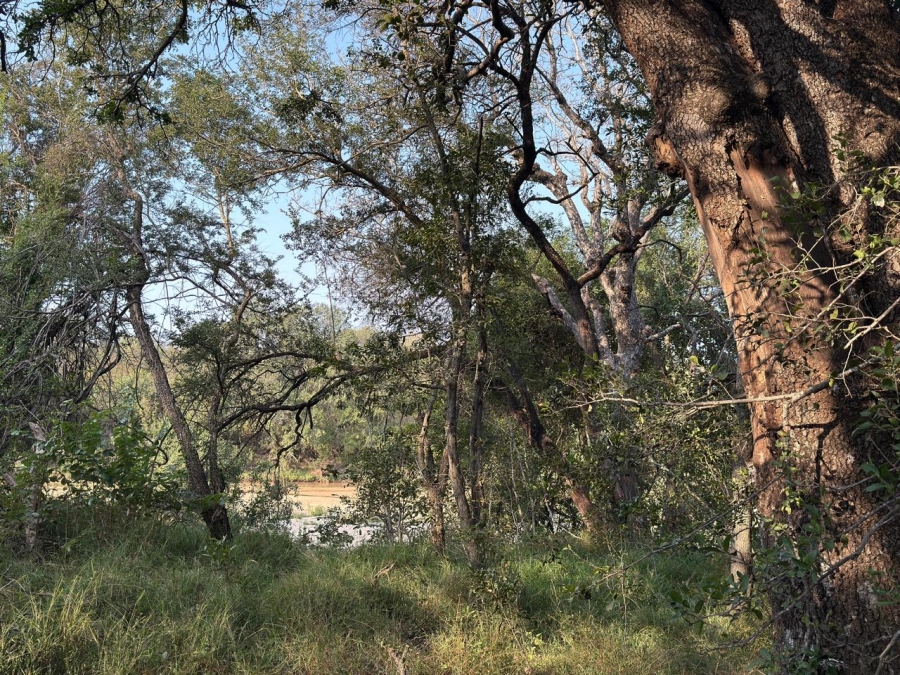 0 Bedroom Property for Sale in Moditlo Wildlife Estate Limpopo