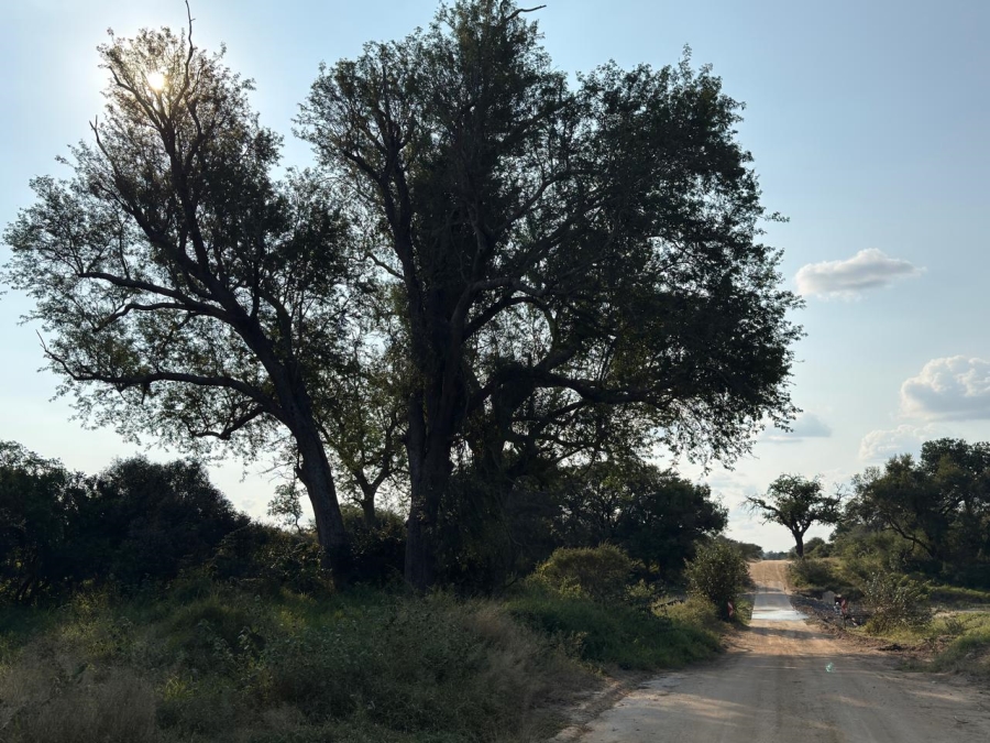 0 Bedroom Property for Sale in Moditlo Wildlife Estate Limpopo