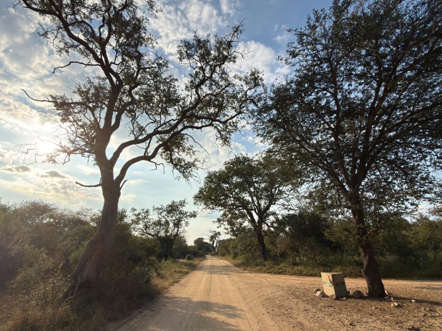 0 Bedroom Property for Sale in Moditlo Wildlife Estate Limpopo
