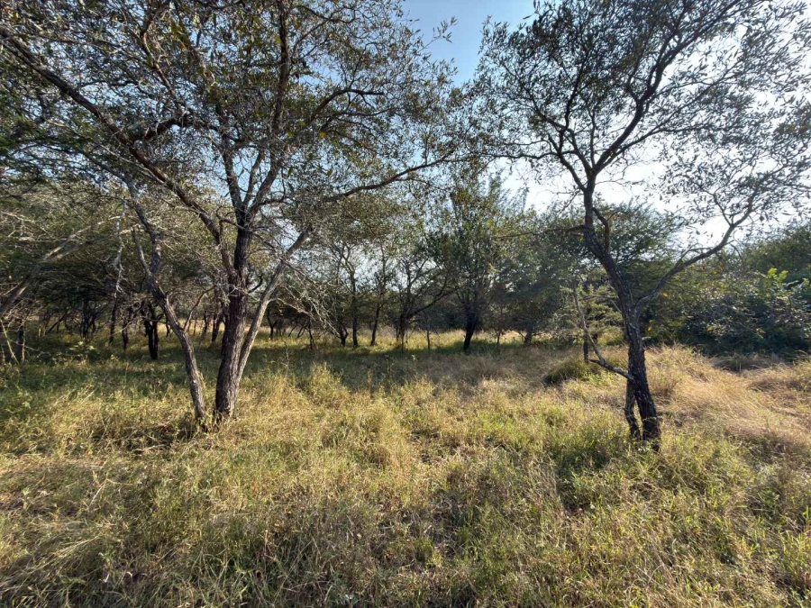 3 Bedroom Property for Sale in Moditlo Wildlife Estate Limpopo
