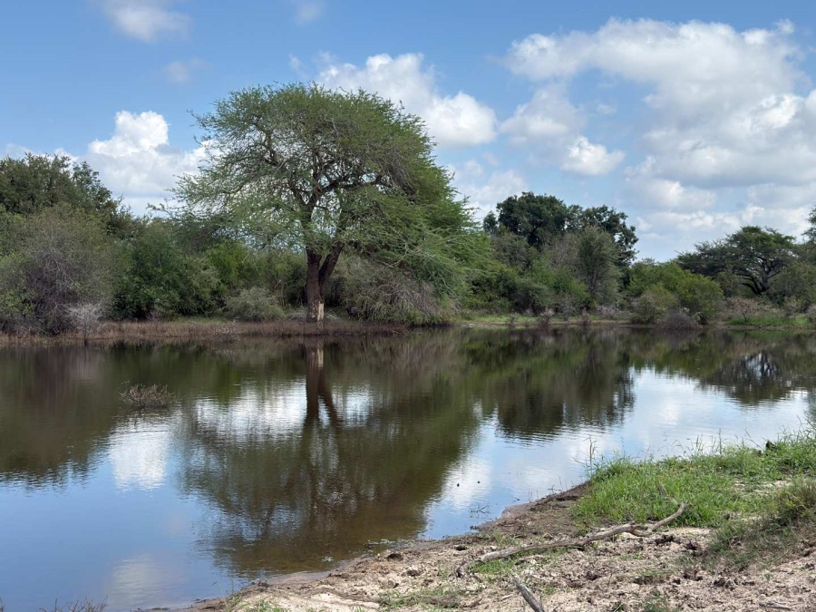 3 Bedroom Property for Sale in Moditlo Wildlife Estate Limpopo