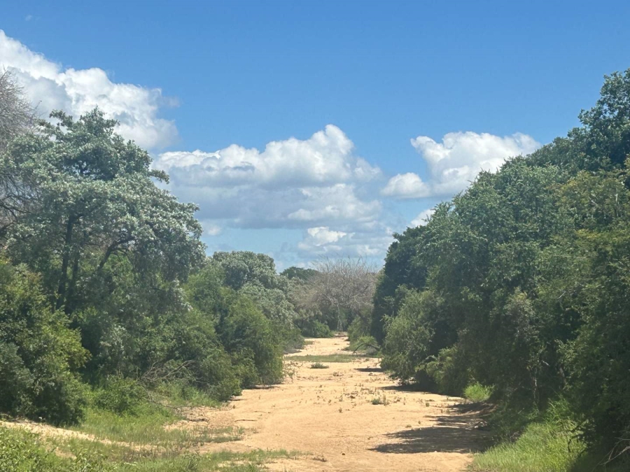 3 Bedroom Property for Sale in Moditlo Wildlife Estate Limpopo