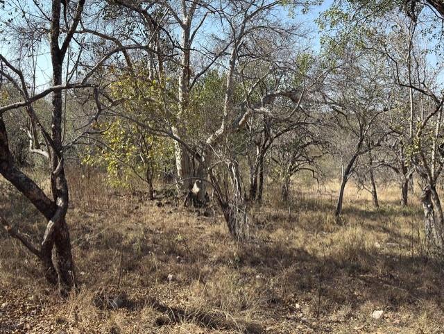 1 Bedroom Property for Sale in Mica Limpopo