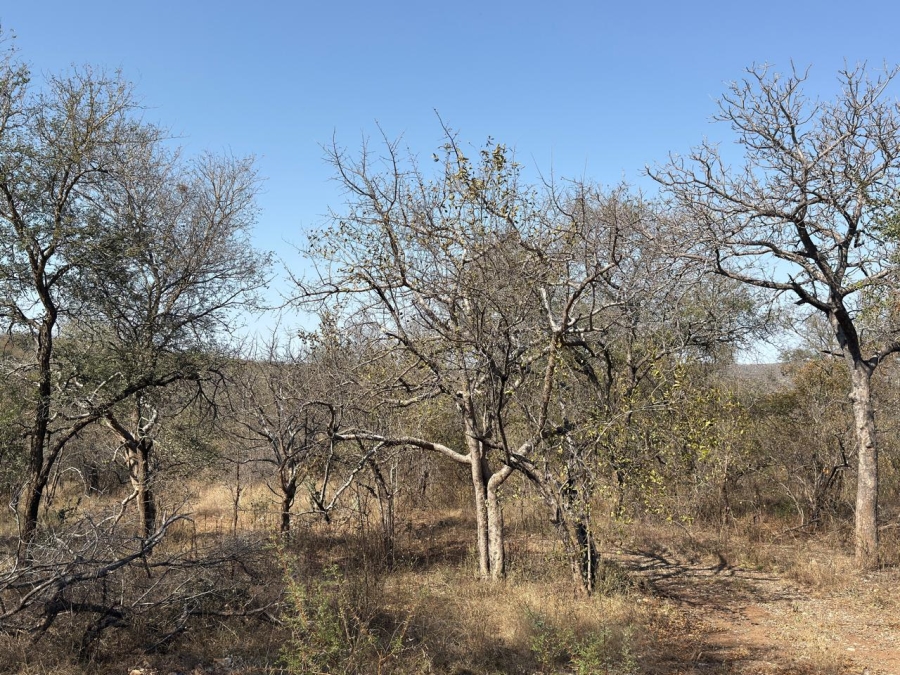 1 Bedroom Property for Sale in Mica Limpopo