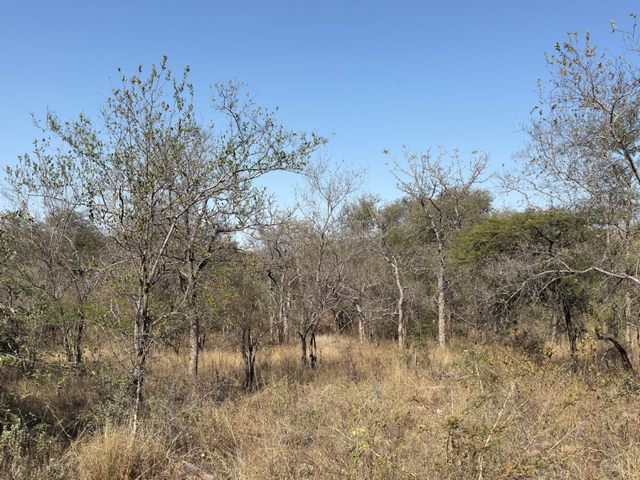 1 Bedroom Property for Sale in Mica Limpopo