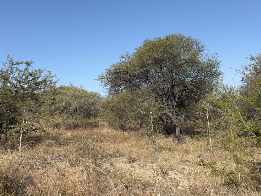 1 Bedroom Property for Sale in Mica Limpopo