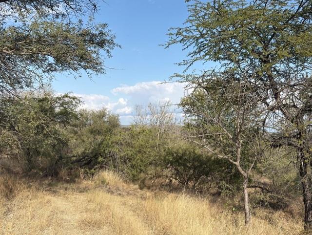 1 Bedroom Property for Sale in Mica Limpopo