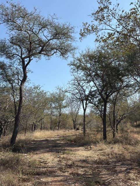 1 Bedroom Property for Sale in Mica Limpopo