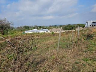 0 Bedroom Property for Sale in Thohoyandou Limpopo