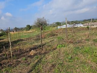 0 Bedroom Property for Sale in Thohoyandou Limpopo