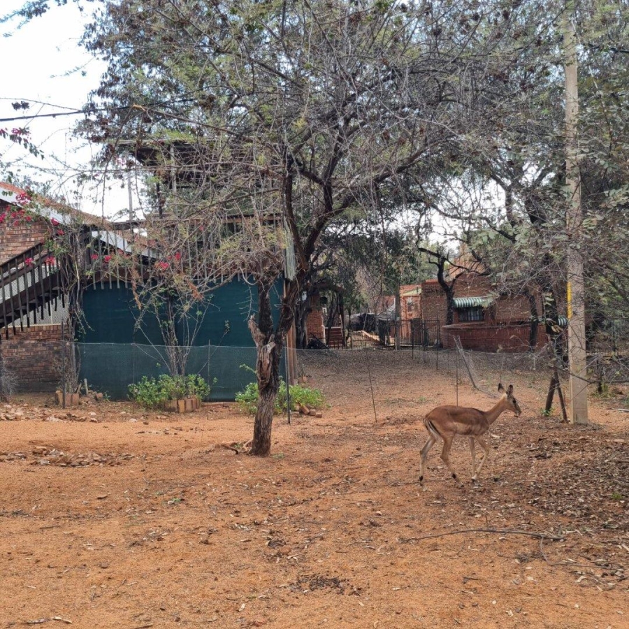 3 Bedroom Property for Sale in Leeupoort Limpopo