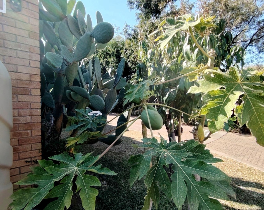 2 Bedroom Property for Sale in Bela Bela Limpopo