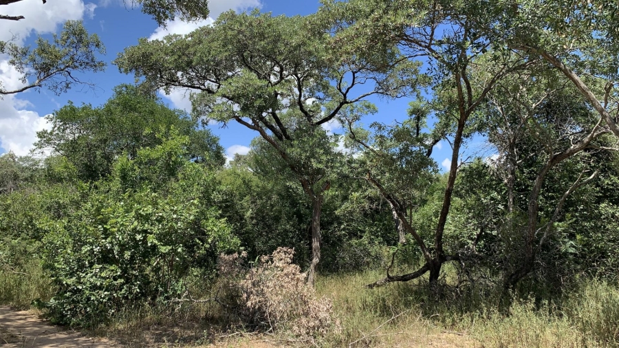 0 Bedroom Property for Sale in Moditlo Wildlife Estate Limpopo
