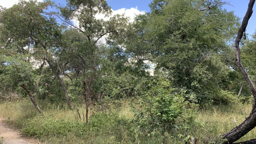 0 Bedroom Property for Sale in Moditlo Wildlife Estate Limpopo