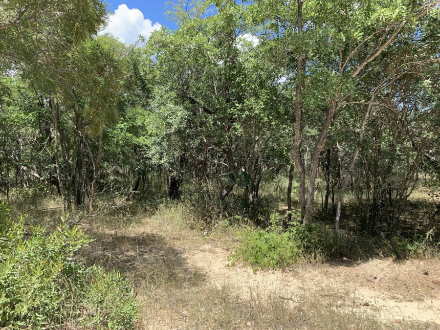 0 Bedroom Property for Sale in Moditlo Wildlife Estate Limpopo