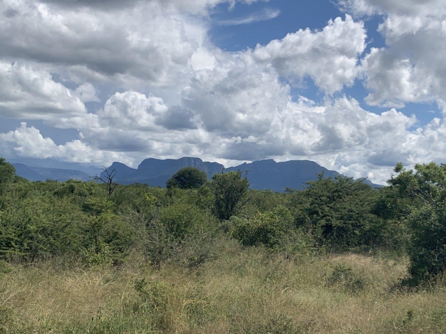 0 Bedroom Property for Sale in Moditlo Wildlife Estate Limpopo