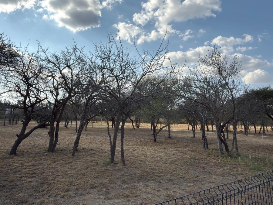 Commercial Property for Sale in Zandspruit Bush Aero Estate Limpopo