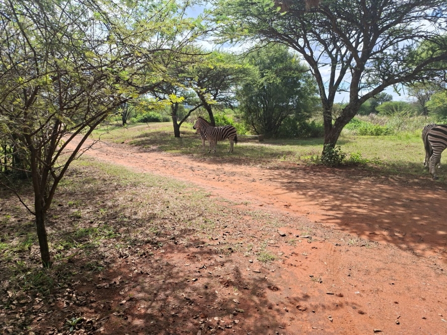 2 Bedroom Property for Sale in Bela Bela Limpopo