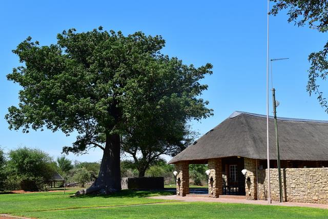 0 Bedroom Property for Sale in Swartwater Limpopo