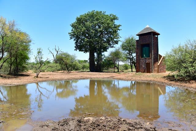 0 Bedroom Property for Sale in Swartwater Limpopo