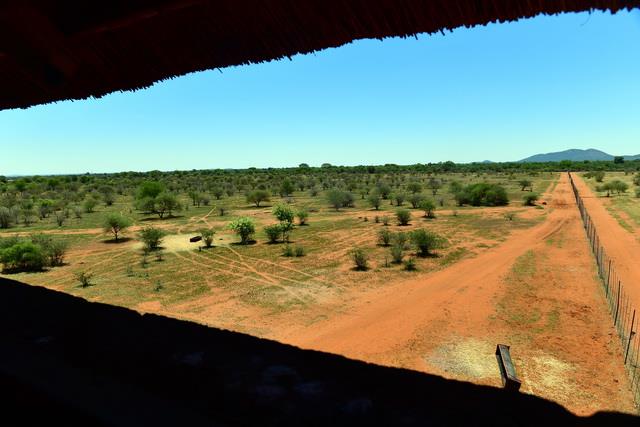 0 Bedroom Property for Sale in Swartwater Limpopo