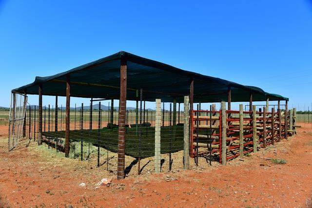 0 Bedroom Property for Sale in Swartwater Limpopo
