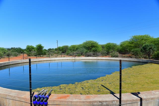 0 Bedroom Property for Sale in Swartwater Limpopo