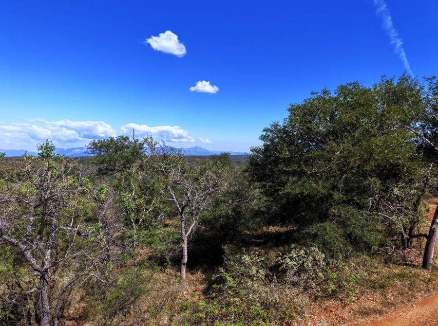 0 Bedroom Property for Sale in Elephant Rock Eco Estate Limpopo