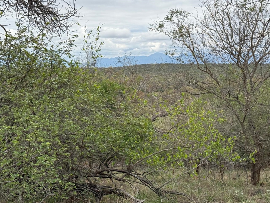 0 Bedroom Property for Sale in Elephant Rock Eco Estate Limpopo