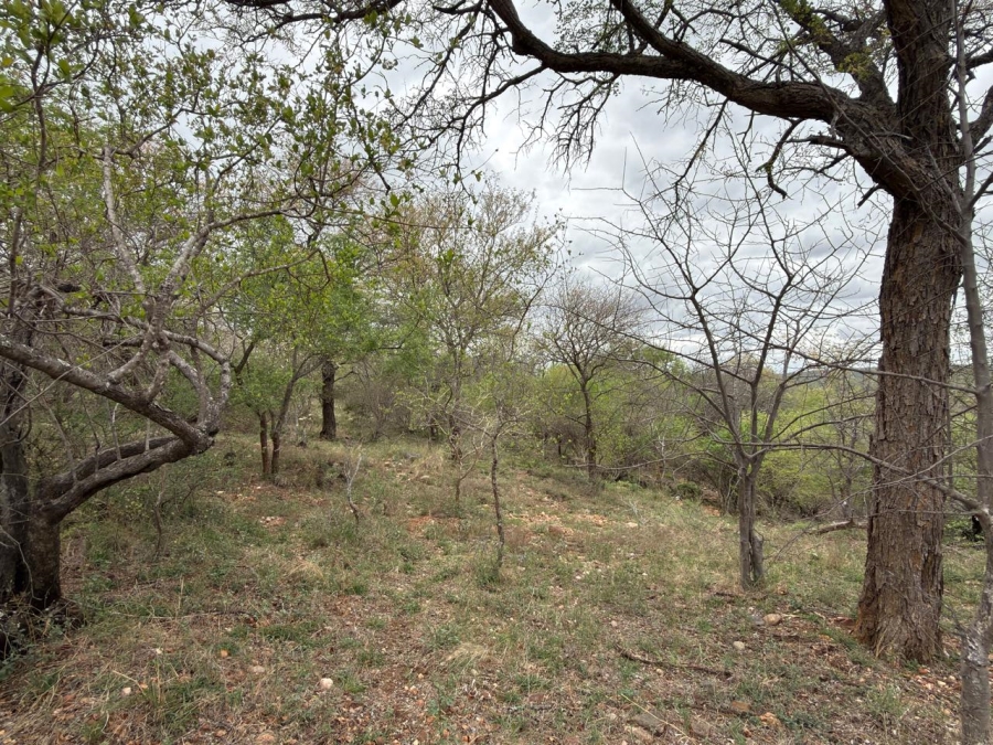 0 Bedroom Property for Sale in Elephant Rock Eco Estate Limpopo