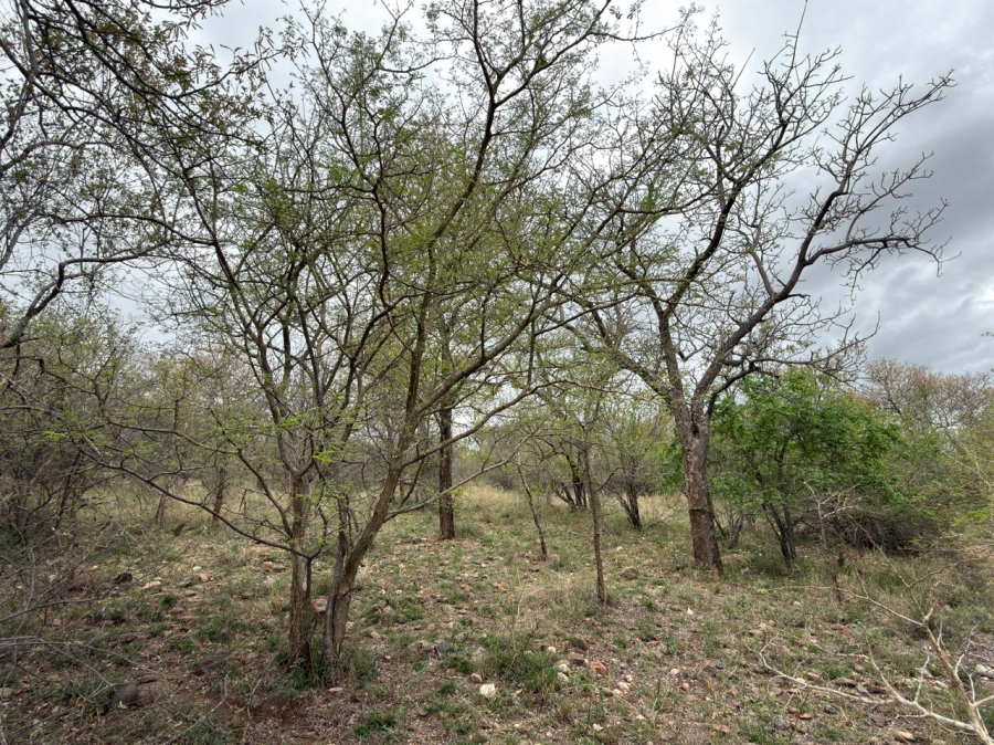 0 Bedroom Property for Sale in Elephant Rock Eco Estate Limpopo